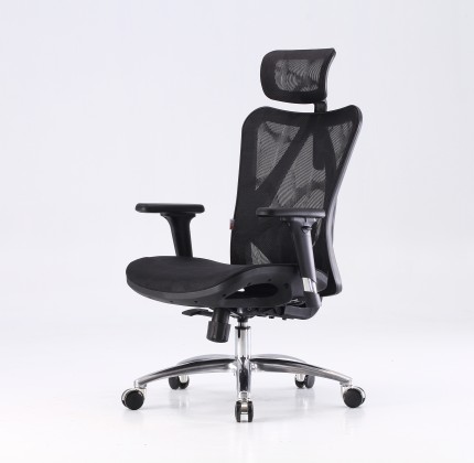 Ghế công thái học Ergonomic Sihoo M57